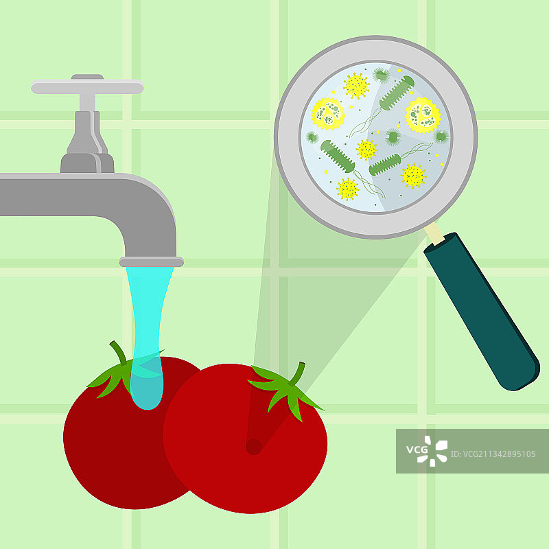 清洗受污染的番茄图片素材