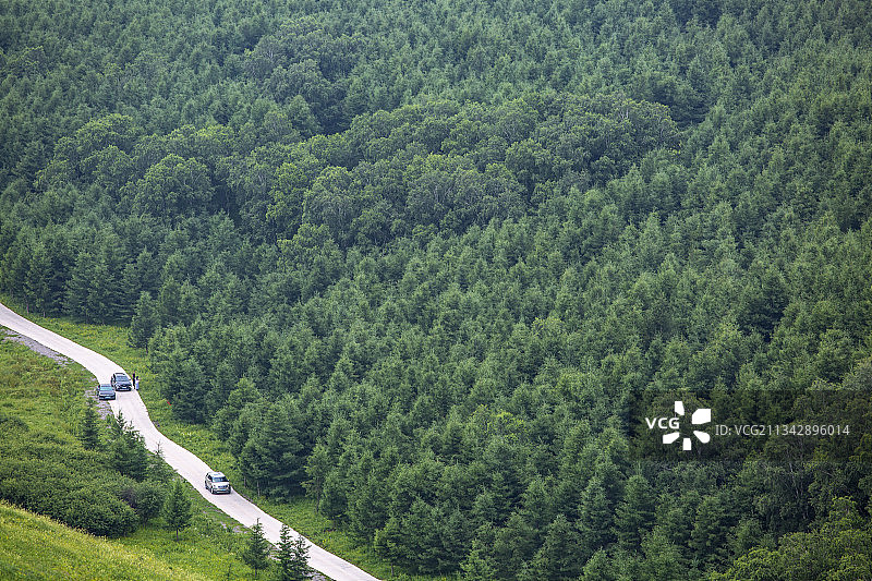 中国河北省丰宁千松坝国家森林公园图片素材