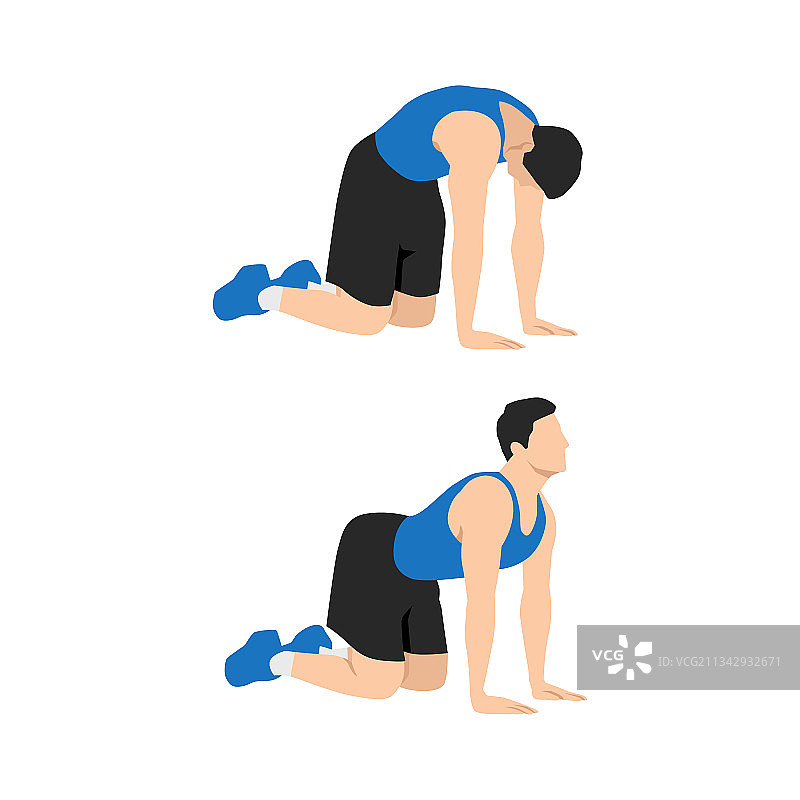 猫式伸展运动图片素材