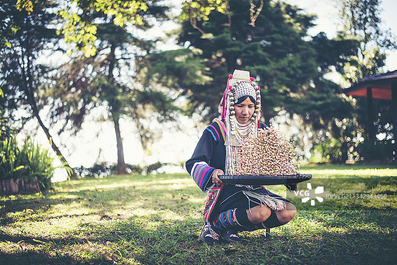 阿卡族人使用簸箕分离阿拉伯咖啡豆图片素材