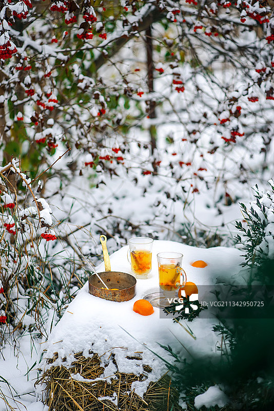 白雪覆盖的田野上的水果特写图片素材