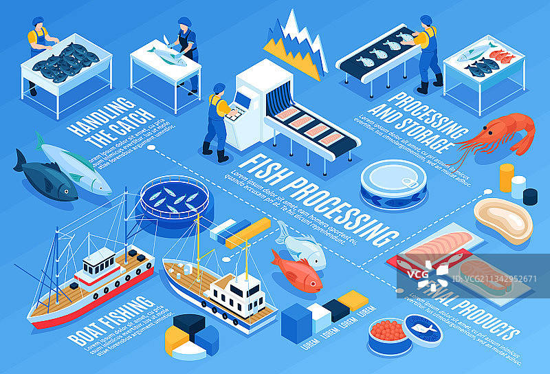 鱼类加工横向信息图图片素材