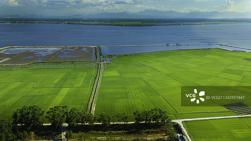 越南农业田地航拍景观图片素材