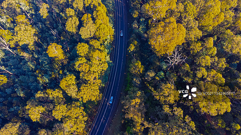 澳大利亚维多利亚州亚拉山脉树木间的道路航拍景色图片素材