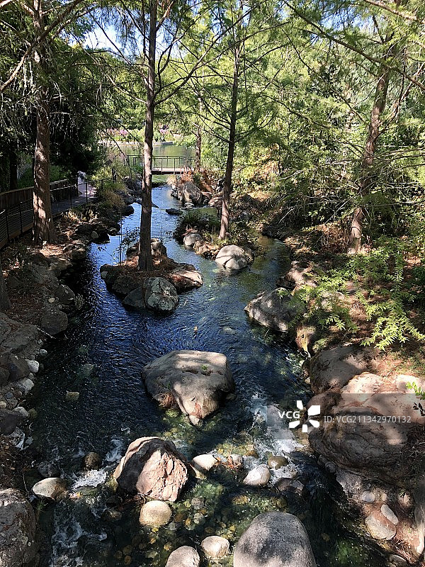 森林中树木间的溪流高角度视图图片素材