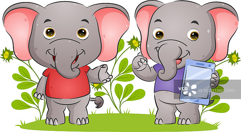 情侣大象讲解并持有图片素材