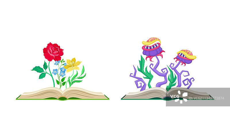 带有不同神话般花朵和花蕾的打开的书本图片素材