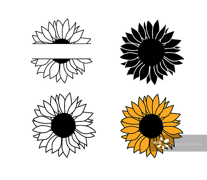 黑白向日葵植物图案图片素材