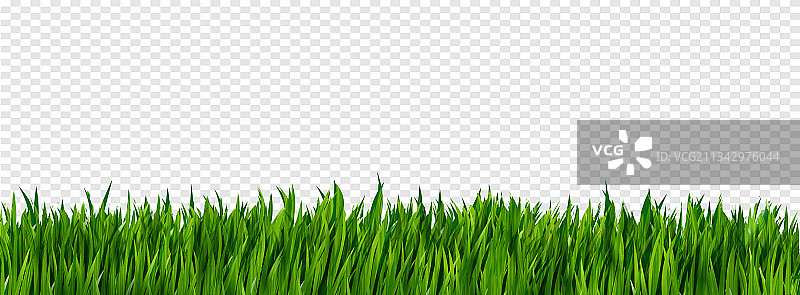 鲜绿色逼真草地边框图片素材
