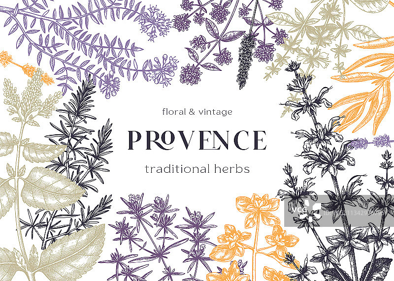 传统普罗旺斯草本植物边框设计图片素材