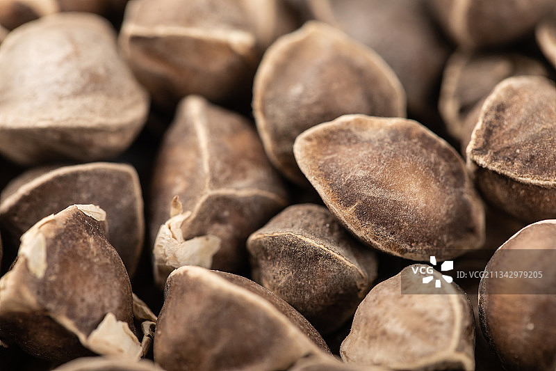 传统中药材辣木籽图片素材