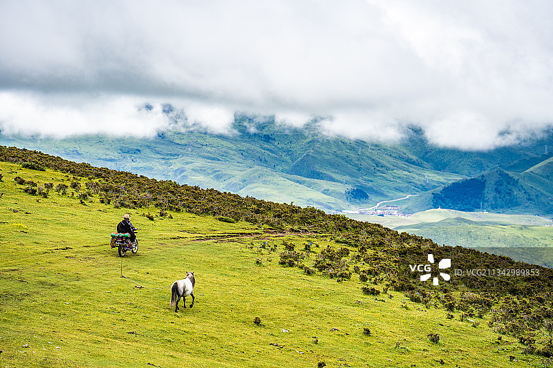 在四川甘孜塔公草原上骑摩托车的人和白马图片素材