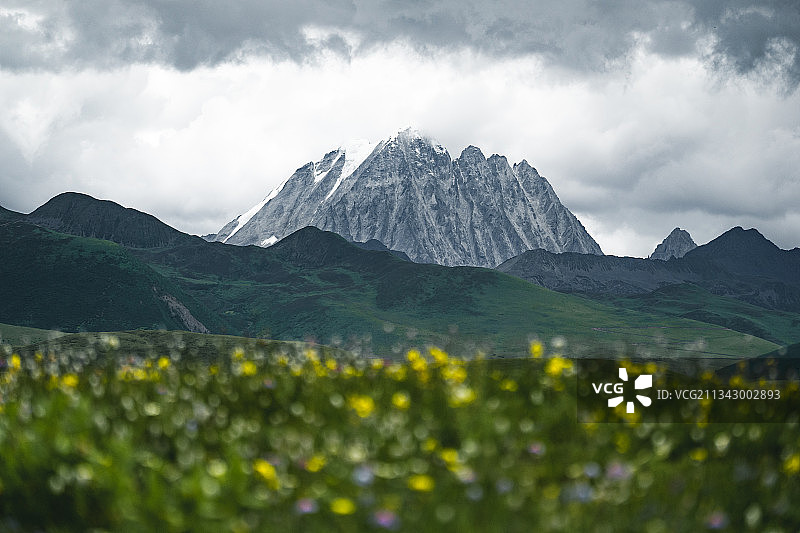 塔公草原视野下的雅拉雪山图片素材