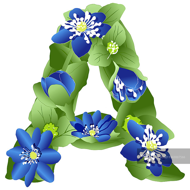 英文字母A图片图片素材