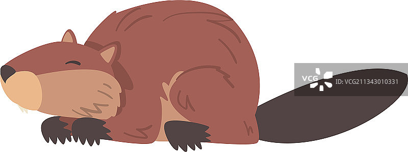 可爱有趣的棕色海狸卡通图片素材