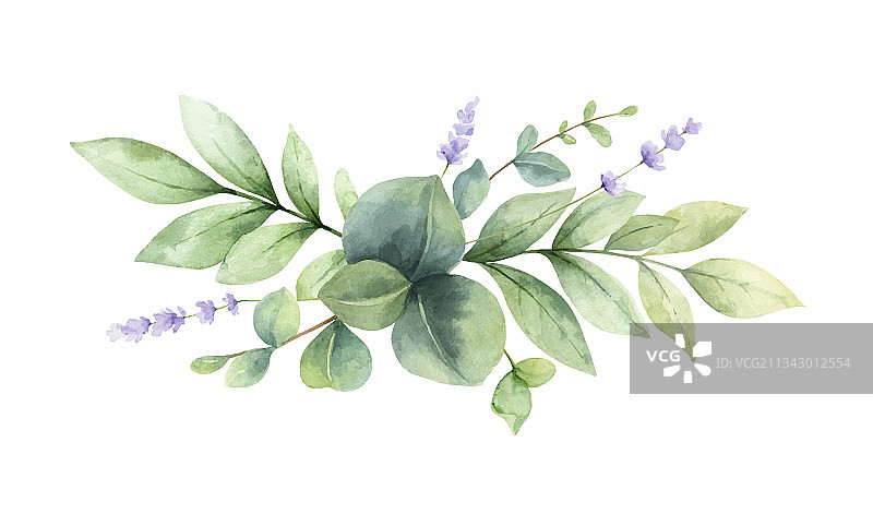 水彩野花花束图片素材