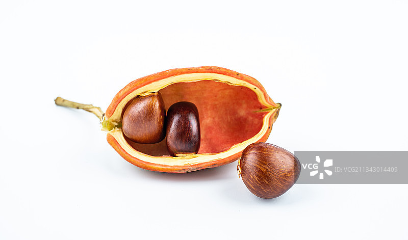 白背景上的新鲜苹婆果图片素材