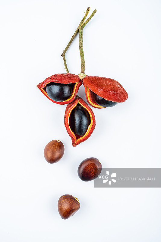 白背景上的新鲜苹婆果图片素材