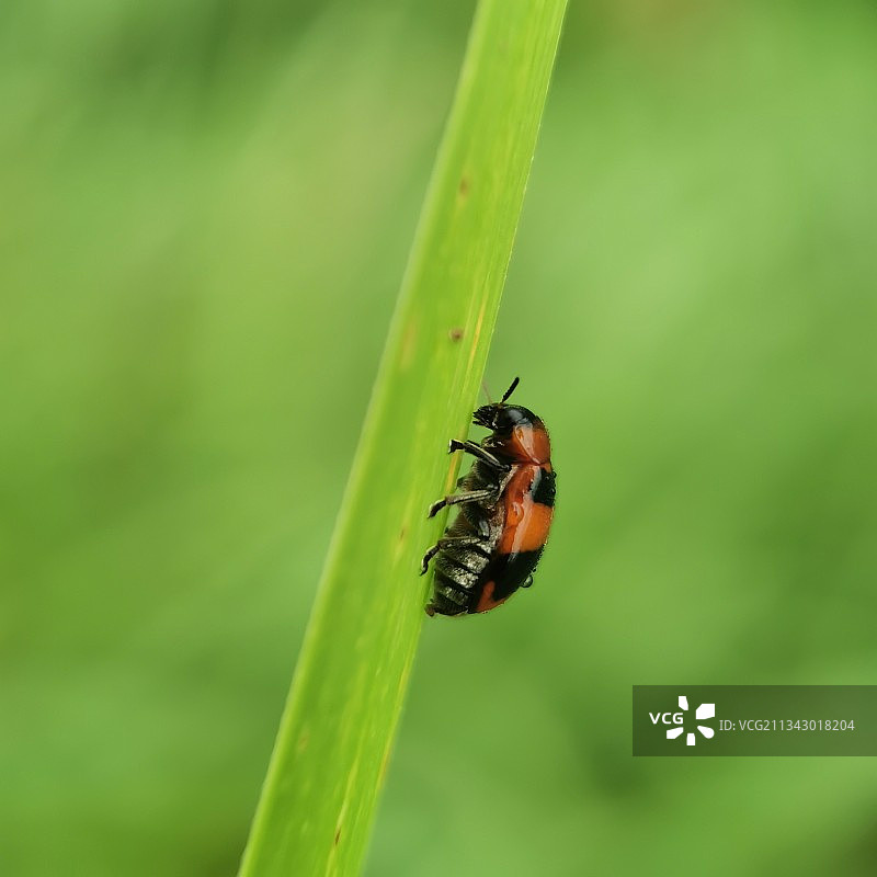 《奋力前行》图片素材
