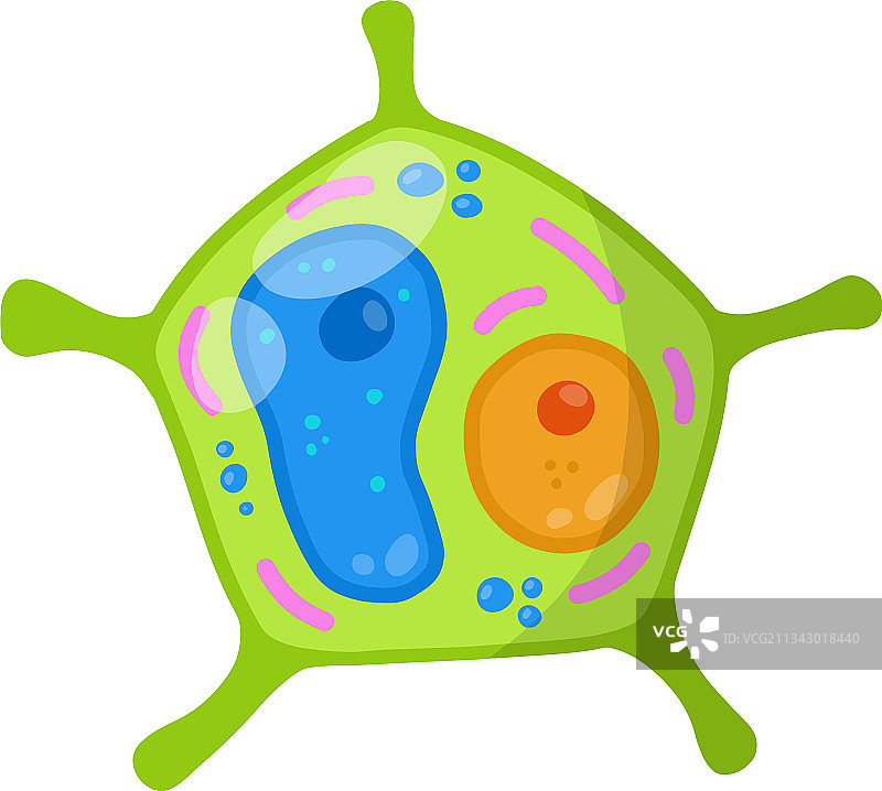 绿色细胞植物图片素材