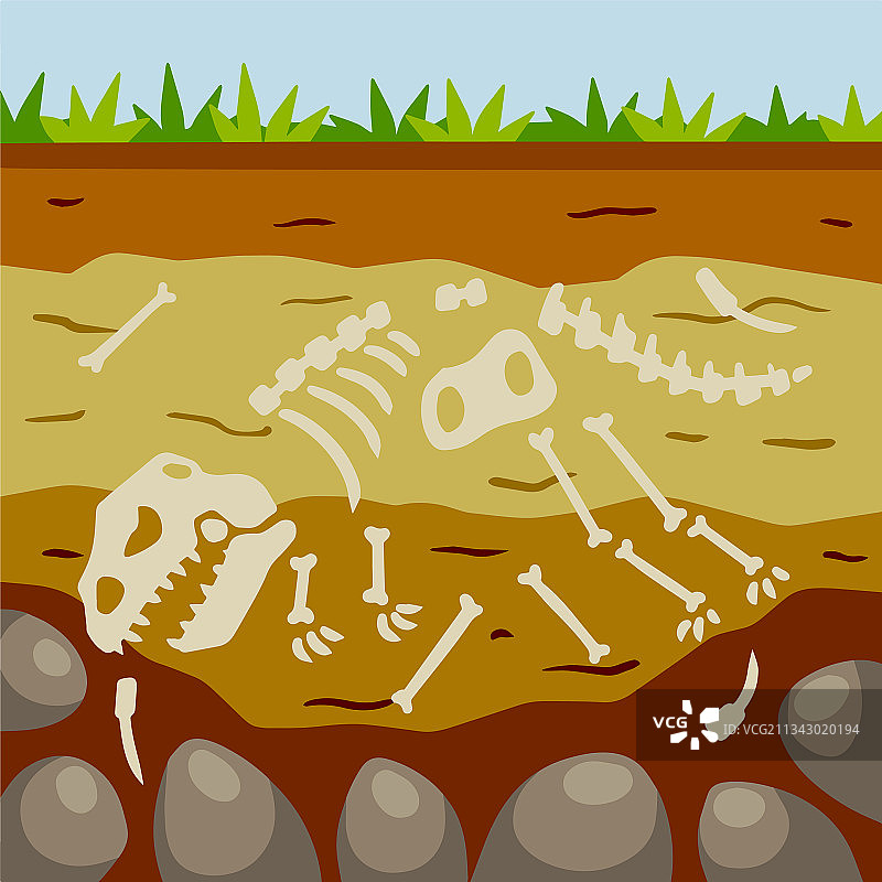 恐龙骨骼扁平卡通风景图片素材