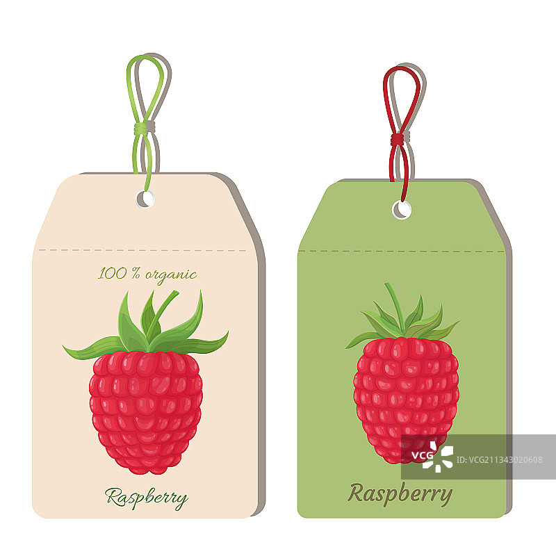 覆盆子植物标签模板图片素材