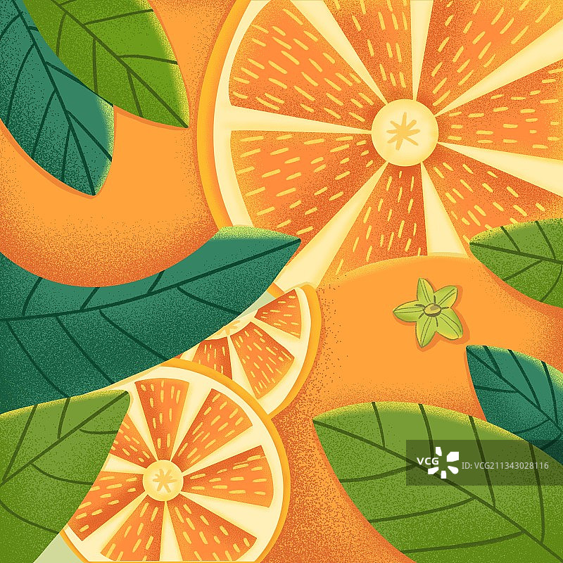 水果包装 1图片素材