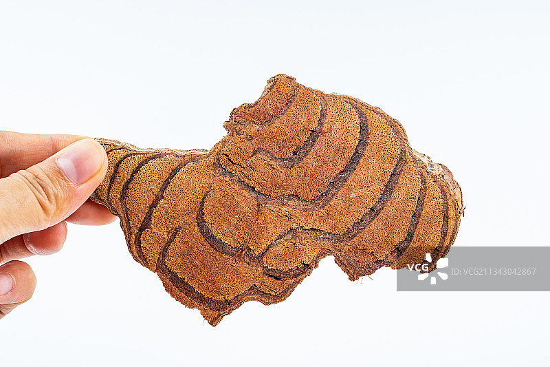 中药材鸡血藤图片素材