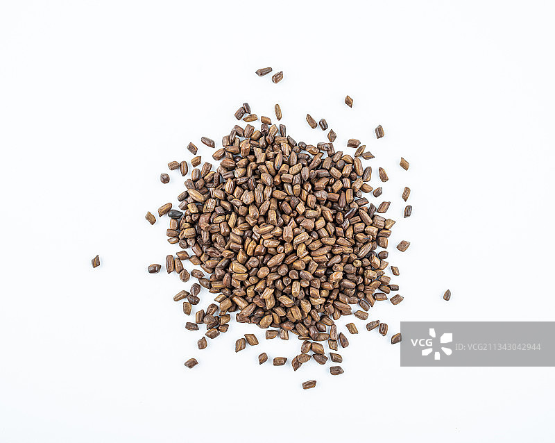 决明子茶图片素材