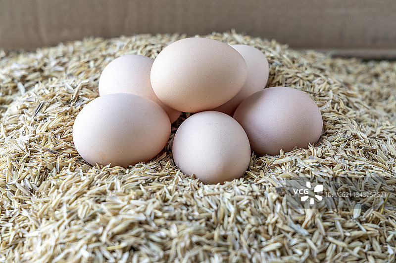 新鲜的鸡蛋特写图片素材