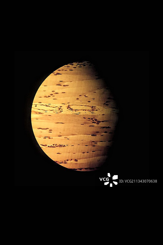 显微镜观察下骨骼肌细胞组成的星球图片素材