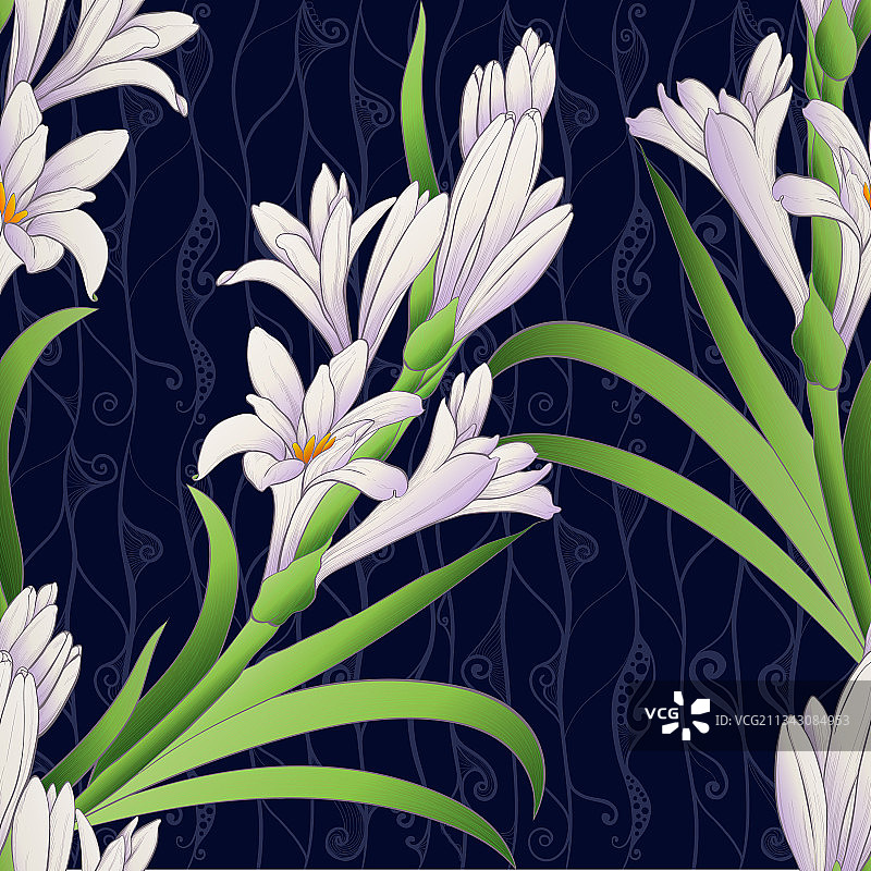 晚香玉 - 无缝图案图片素材