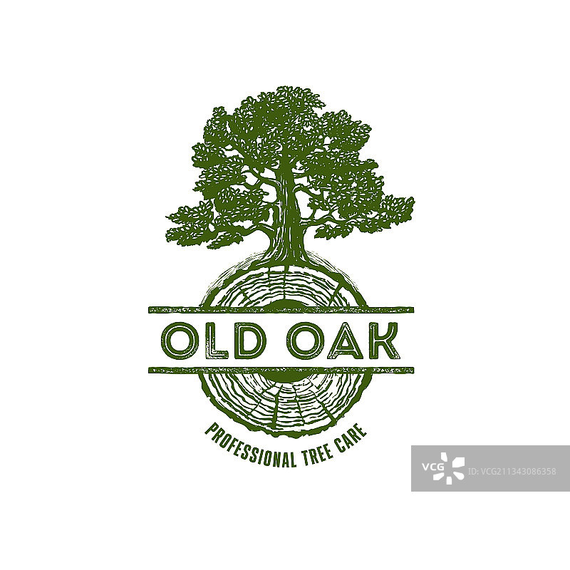老橡树专业树艺师树木护理服务图片素材