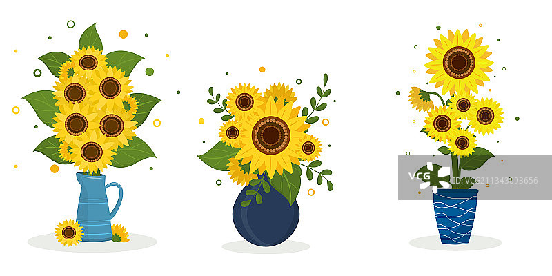 一套蓝色水罐中的三束向日葵图片素材