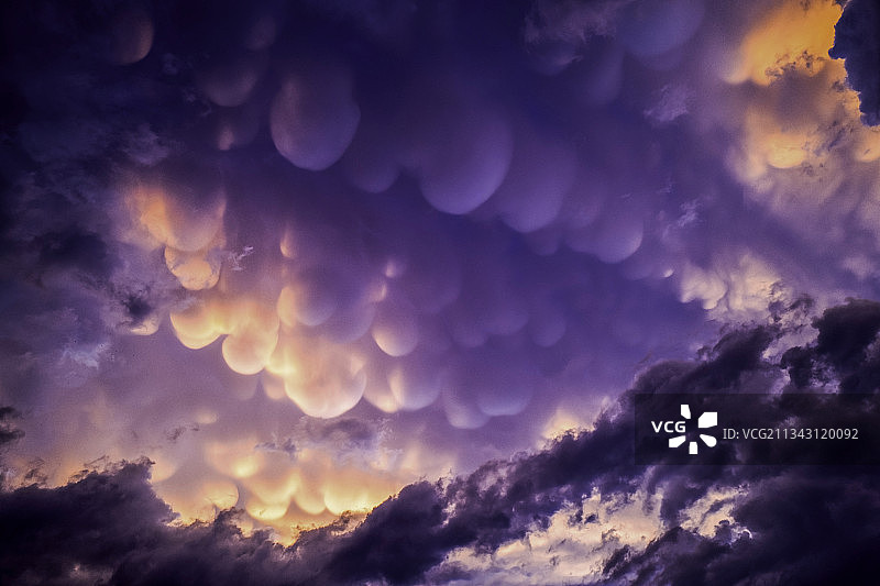 天生葡萄图片素材