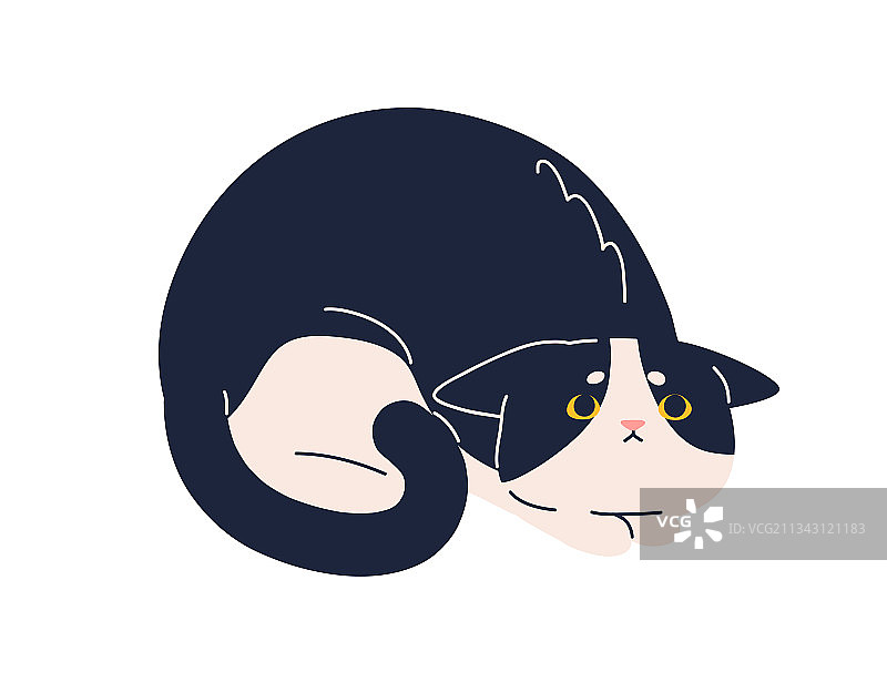 害怕的猫，带着悲伤恐惧的表情图片素材