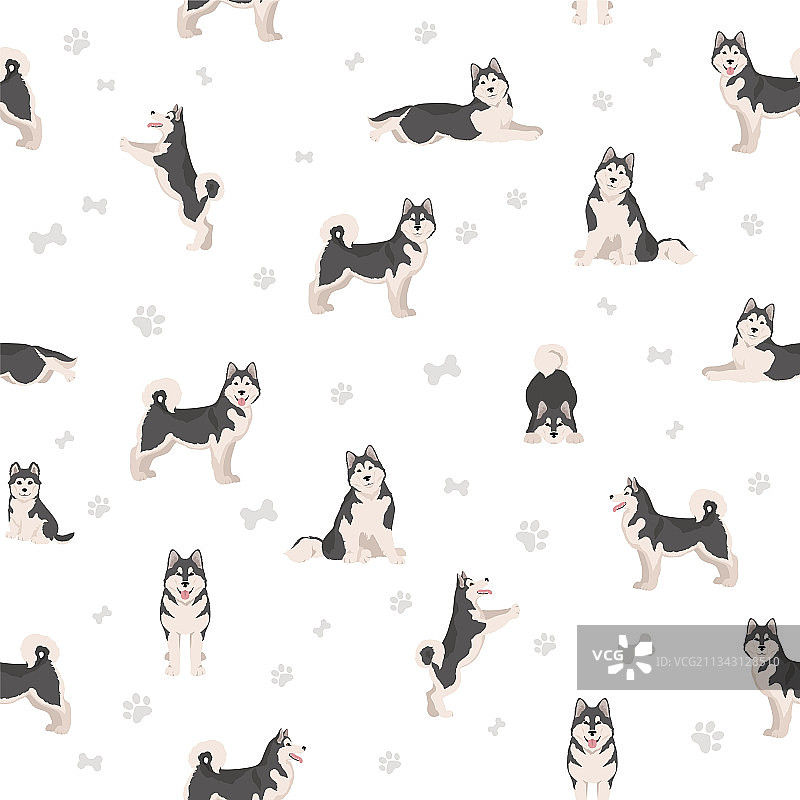 阿拉斯加雪橇犬所有颜色无缝图案图片素材
