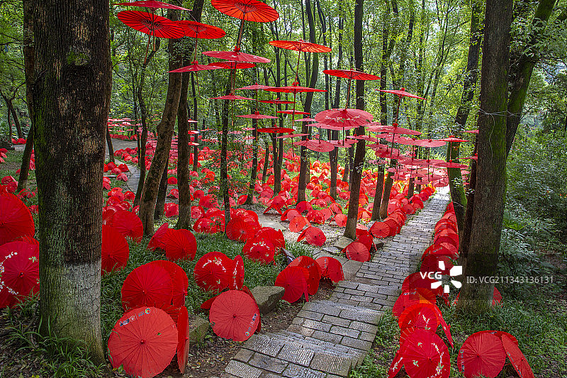 襄阳古隆中风景区树林步道中国红油纸伞风光图片素材