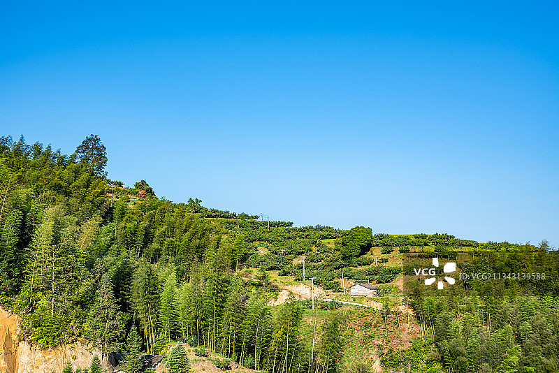 湖南省炎陵高山黄桃种植果林图片素材