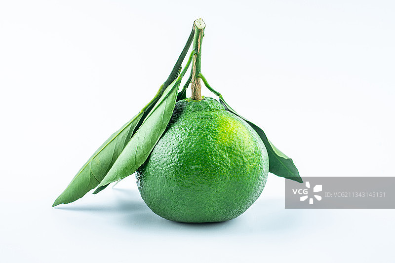 白背景上的新鲜桔子图片素材