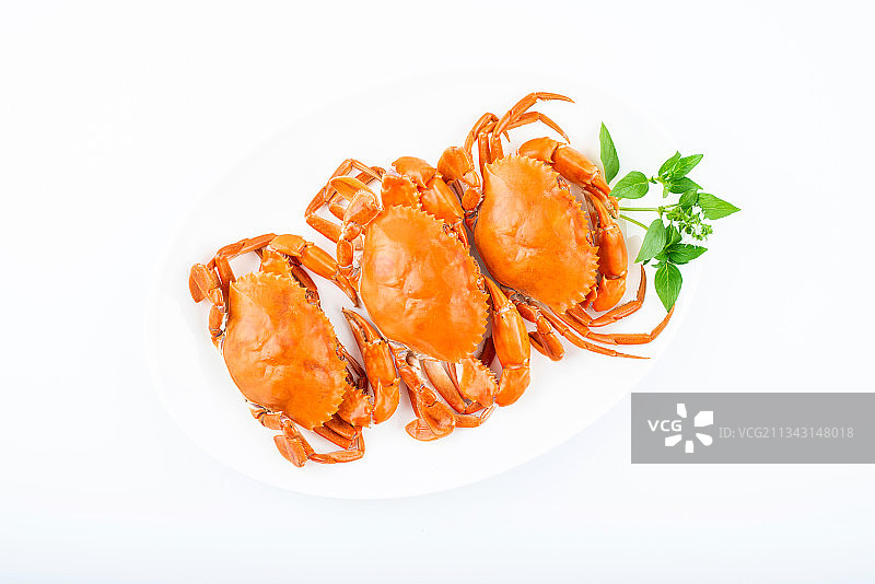 白背景上一碟美味清蒸红鲟蟹图片素材
