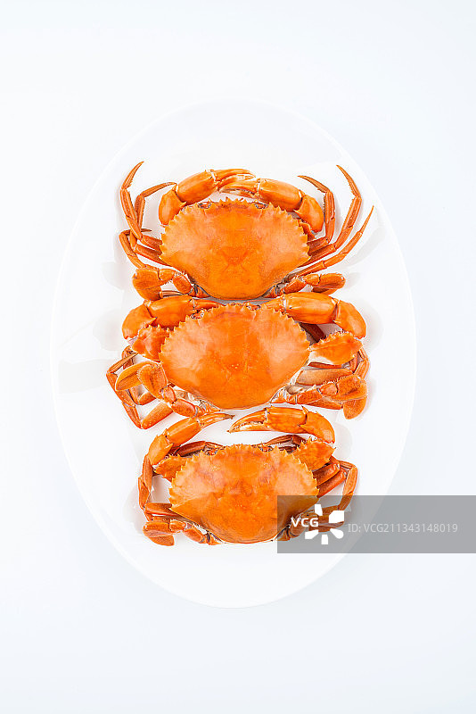 白背景上一碟美味清蒸膏蟹图片素材