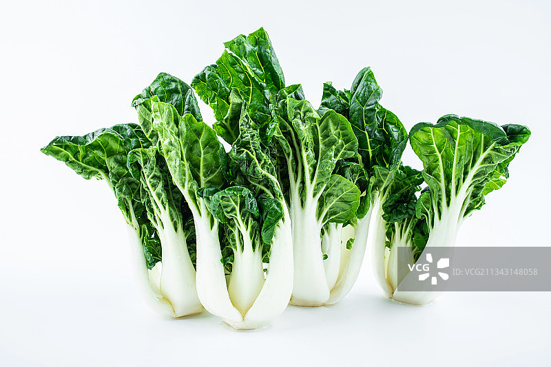 白背景上的新鲜蔬菜奶白菜图片素材