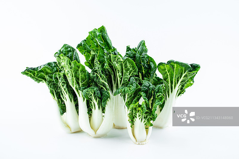 白背景上的新鲜蔬菜奶白菜图片素材