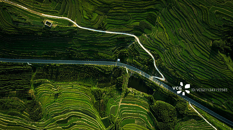 梯田间的公路图片素材
