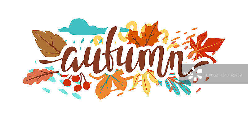 秋叶花卉背景图片素材