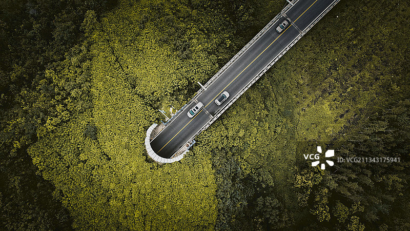 俯瞰隧道图片素材