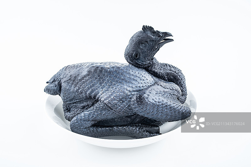 白背景上一只新鲜乌鸡图片素材