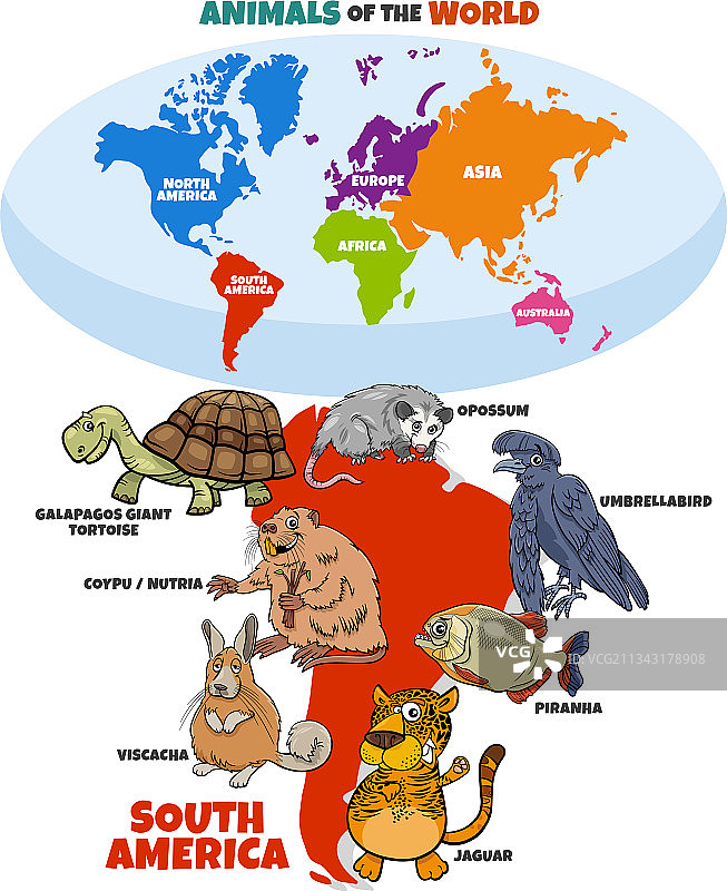 南美洲动物科普卡通图片素材