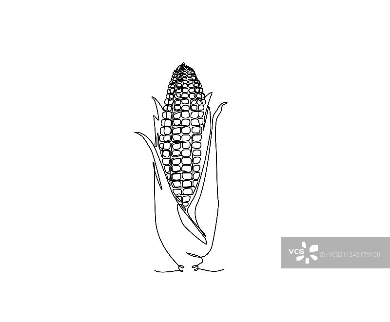 极简风格的玉米连续线条画图片素材